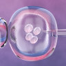 Demand for IVF services remains strong but providers acknowledge COVID cases are causing widespread interruptions to services.